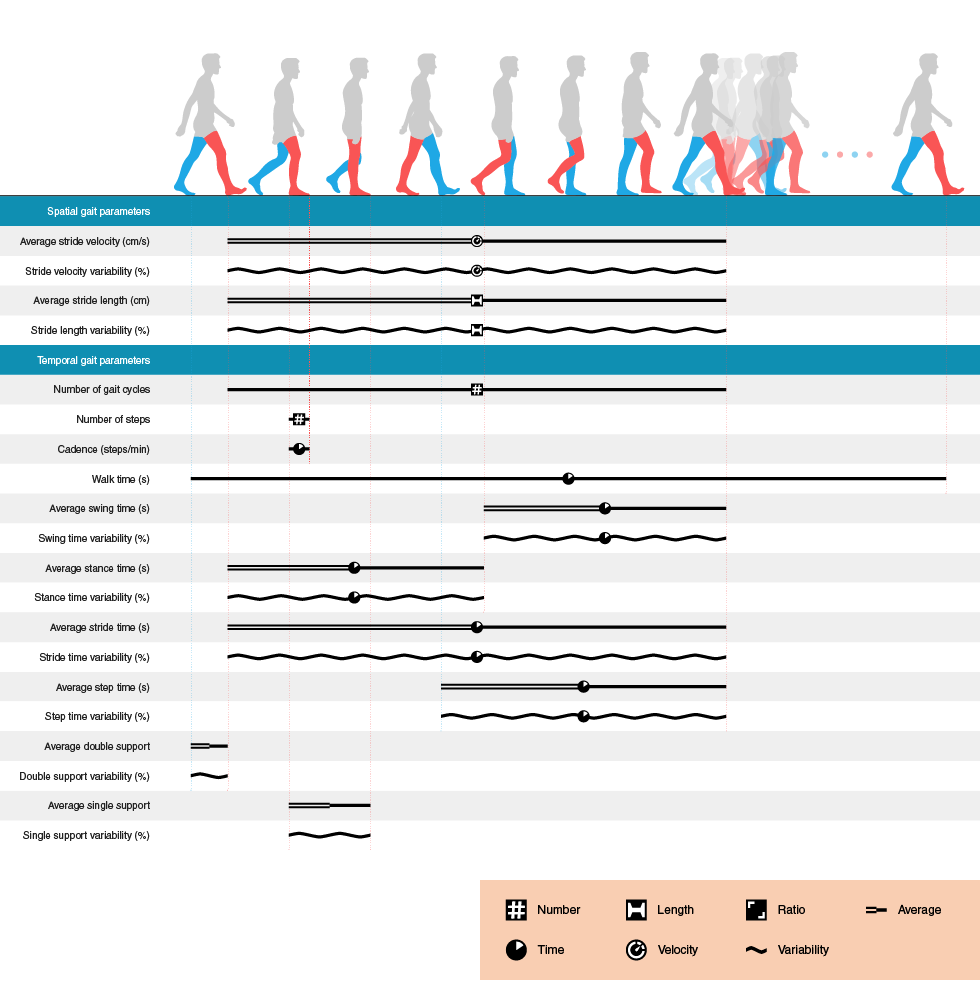Quantitative gait parameters can be broadly categorised into spatial and temporal gait parameters